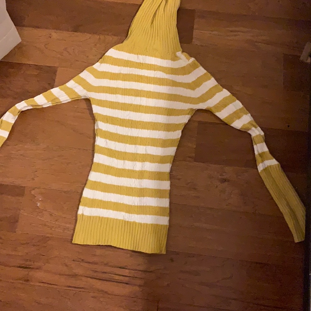 Very Fitted Turtle neck sweater